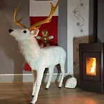 205 M2 Avec Piscine Et Jacuzzi Holiday home