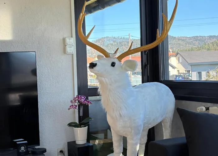 펜션 205 M2 Avec Piscine Et Jacuzzi