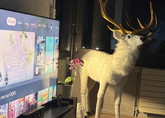 205 M2 Avec Piscine Et Jacuzzi 펜션 *